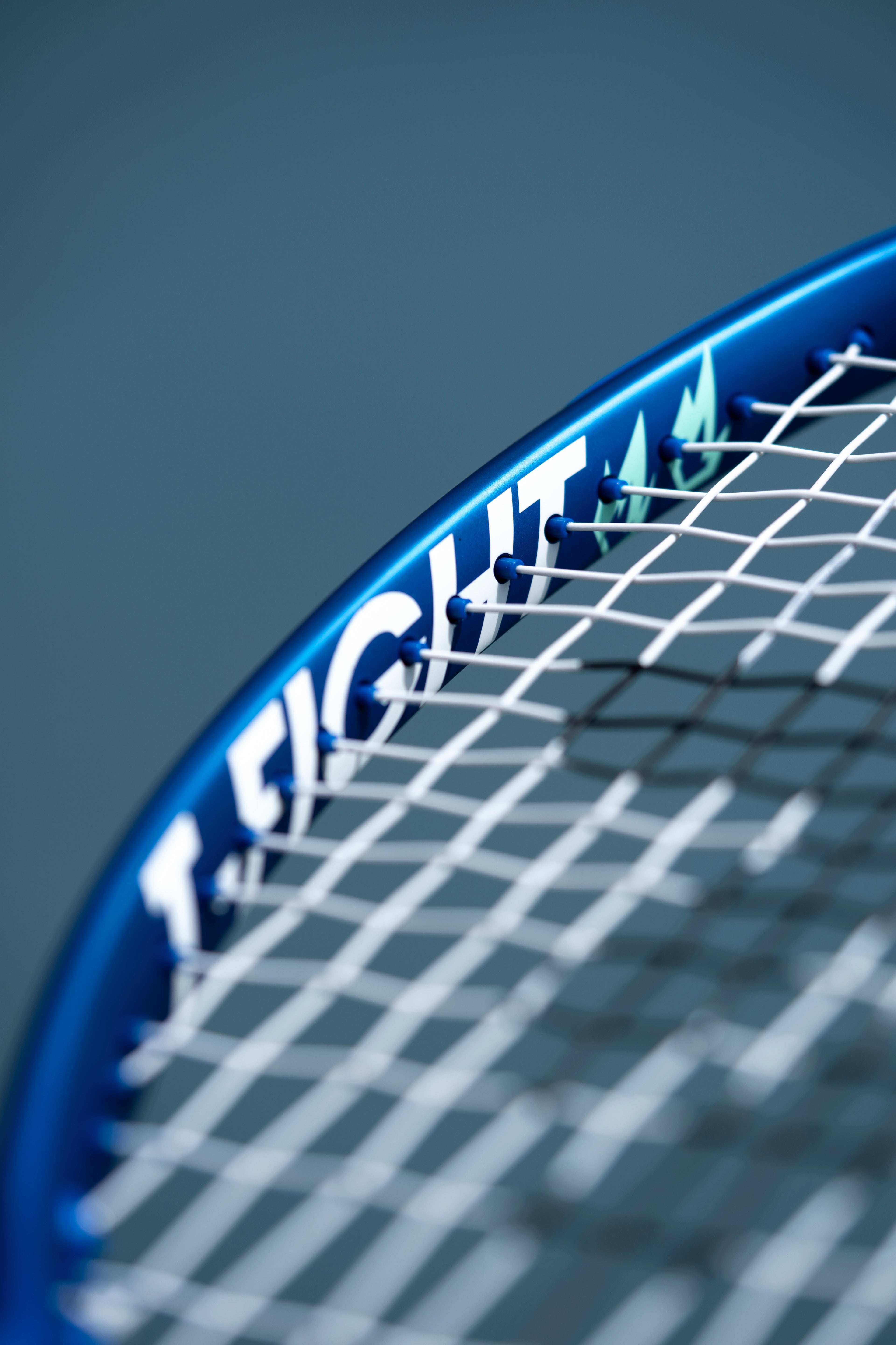 Macro shot of tennis strings and frame
